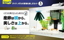 Tetra テトラ メダカの繁殖を楽しむセット S 水槽 アクアリウム 熱帯魚 メダカ 金魚_画像3