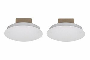 スワン電器 薄型LEDミニシーリングライト 昼白色相当 2個セット 日本製 YCE-550