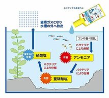 テトラ (Tetra) 水リサイクル 250ミリリットル 水質調整剤 アクアリウム 水換え減らす コケ抑制 PH/KH安定 ビタミ_画像5