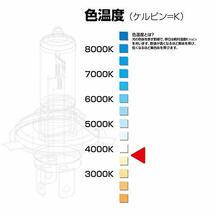 PIAA ヘッドライト・フォグランプ用 ハロゲン H1 3800K 車検対応 2個入 12V 55W ECE規格準拠 HS701_画像3