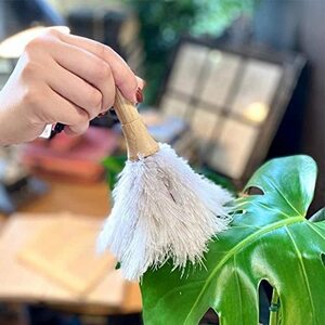 ダルトン(Dulton) ほこり取り フェザー ダスター ミニ ホワイト 長さ205mm FEATHER DUSTER MINI