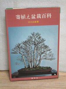 昭和51年■寄植え盆栽百科　江口正直/樹石社 　杉・そろ・楓・黒松・ぶな・竹ほか