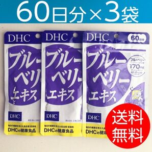 【60日分×3袋】DHCブルーベリーエキス