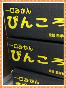 登録商標　一口みかん　ぴんころ　秀品＋家庭用　1990年発売　4キロ＋５００ｇ増量中　　ご試食価格です　北海道沖縄地域発送できません。