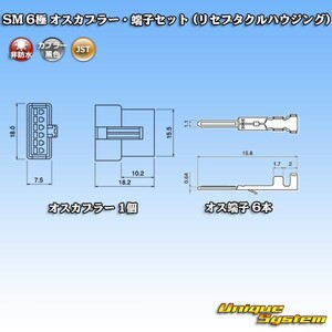 JST 日本圧着端子製造 SM 6極 オスカプラー・端子セット (リセプタクルハウジング)