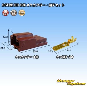 住友電装 250型 HD 2極 オスカプラー・端子セット