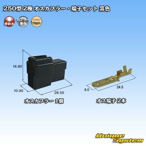 矢崎総業 250型 2極 オスカプラー・端子セット 黒色