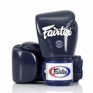 新品 Fairtex フェアテックス 本革性 レザー グローブ BGV1 ブルー 10oz ムエイタイ ボクシング キックボクシング MMA 格闘技 Gloves