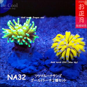 NA３２ゴールドトーチ２個セット （各４～５ｃｍ前後）