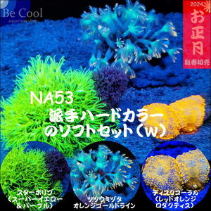 NA５３派手カラーのソフトコーラル３個セット（各５～７ｃｍ前後）