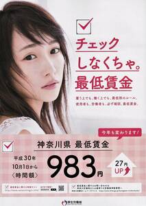 川栄李奈　◆◆ 「 チェックしなくちゃ。最低賃金 」 チラシ　※チラシのみ　※即決価格設定あり