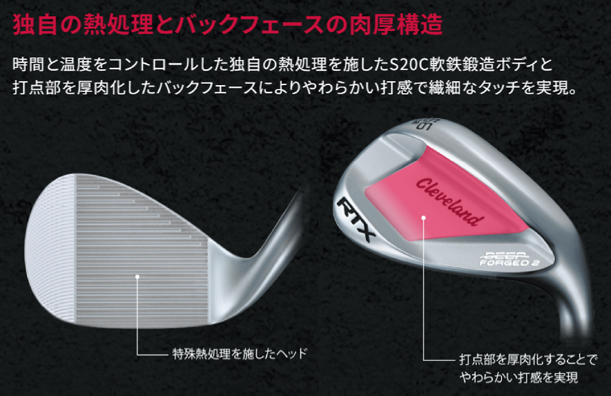 日曜日 WEBカタログ AR まとめ売り ヒトカゲ リザード ゼニガメ カメール フシギダネ