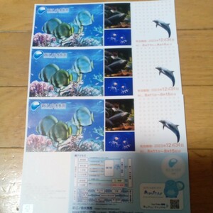 【送料無料】新江ノ島水族館　入館ご招待券ペア（数量1→2枚）4枚あります。
