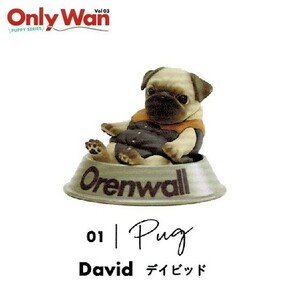 Only Wan Vol.03 -PUPPY SERIES- 「パグ David(デイビッド)」 ◇ 動物フィギュア ガチャ ガチャポン カプセルトイ 犬 置物