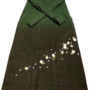 レディース袴 2Lサイズ緑グラデーション 桜の刺繍 行灯型 卒業式