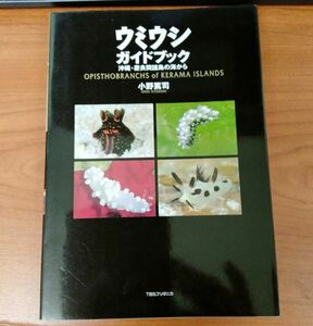 ウミウシガイドブック―沖縄・慶良間諸島の海から 小野 篤司