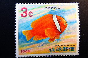 【即決R171】送料63円 琉球切手（沖縄）熱帯魚シリーズ ハマクマノミ　3¢　1966年(昭和41年) 型価70