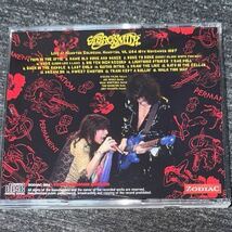 Aerosmith Definitive Hampton 1987 付属品あり_画像2