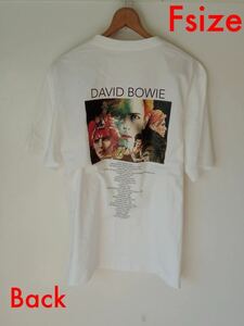 デヴィッド・ボウイ David Bowie ★ ロックスター バンドTシャツ(Ｆ白)B70