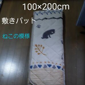 新品　やわらかタッチ　あったか敷きパット(シングルサイズ　100×200cm) 