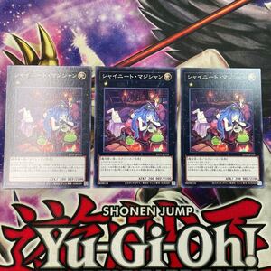 遊戯王　シャイニート・マジシャン　23TP ノーマル　3枚セット