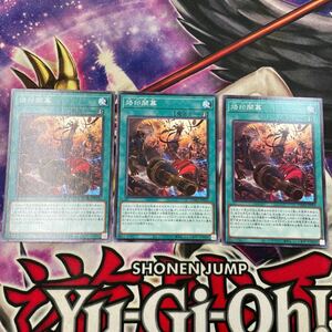 遊戯王　烙印開幕　DAMA ノーマル　3枚セット