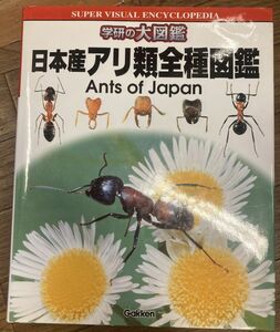 ## Japan production have kind all kind illustrated reference book ( Gakken. large illustrated reference book )##