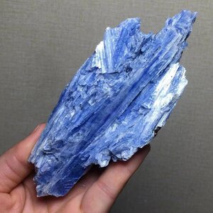 【限定品】AAA級天然藍晶石（カイヤナイト）原石1213-YS-YY-99Z