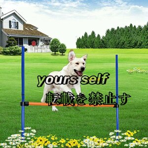  pet dog for dog. motion training apparatus motion apparatus training Jump bar upbringing dog Ran contest training construction type adjustment possibility 3 point set 