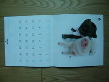 かわいい豚ちゃん　Ａrtlist Ｃｏｌｌｅｃｔｉｏｎ THE ＰＩＧ 2012 ＣＡＲＥＮＤＥＲ_画像8