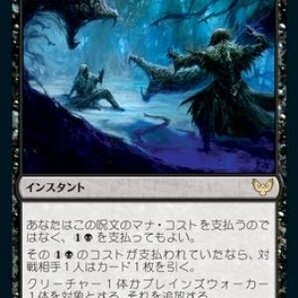 MTG 悪意の熟達 在庫日3枚まで ストリクスヘイヴン STX ★他多数出品中の画像1