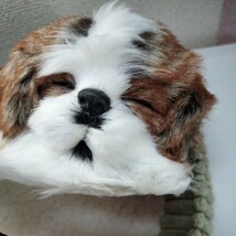 置物　シーズー　ぬいぐるみ　犬　パーフェクトペット　眠る犬　_画像3