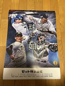 2024 ゼット 野球 ベースボール カレンダー 中村奨吾 青柳晃洋 森友哉 源田壮亮 吉川尚輝 今宮健太 中村悠平 岩崎優 小林誠司 大瀬良大地 