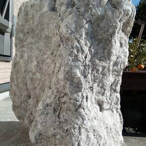 【超特大・希少】 石灰岩 約26kg前後 アフリカンシクリッド等に の画像2