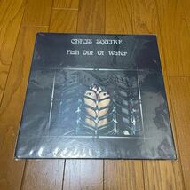 未知への飛翔 - FISH OUT OF WATER／クリス・スクワイア イエス -CHRIS SQUIRE YES LP レコード_画像1