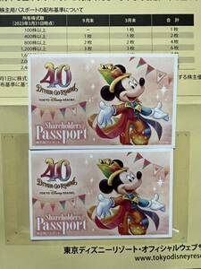 東京ディズニーランド 東京ディズニーシー ペアチケット 2枚 株主優待 パスポート TDL TDS 即決21000円