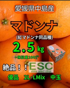 fm愛媛県中島産マドンナ（紅マドンナ同品種）優品2L・L混合中玉2.5ｋｇ＋保証量200ｇ①