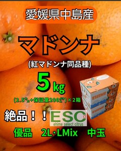 fm愛媛県中島産マドンナ（紅マドンナ同品種）優品2L・L混合中玉5ｋｇ(2.5ｋｇ＋保証量200ｇ)×2箱②