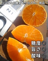 送料込！！愛媛県中島産マドンナ（紅マドンナ同品種）優品2L・L混合中玉7.5ｋｇ(2.5ｋｇ＋保証量200ｇ)×3箱④_画像2