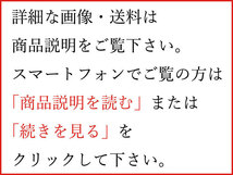 【1円～】緑屋Re■ 未組立　旧バンダイ　T型・1913　フォードバン　1/16　レトロ　プラモデル　　　f/bni/12-086/13-1#120_画像5