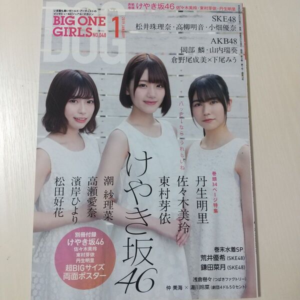 BIG ONE GIRLS (ビッグワンガ 2019年1月号