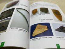 図録 樹木と人の交渉史 発掘された木製品、樹木信仰にみる3万年の歴史 長野県立歴史館 2015　CIC942_画像5