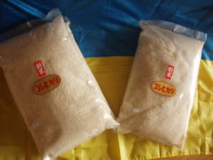 新米５年産コシヒカリ　中米の精米８ｋｇ×３袋で２４kg