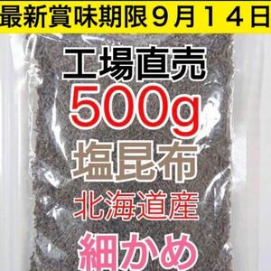 アウトレット 大容量 500g 北海道産昆布100％ 塩こんぶ くらこん 工場直売 刻み塩昆布 お弁当 おにぎり お茶漬け クーポン使用で200円引き