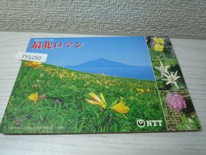 TY1250　レホンカード 50度数×２枚 北海道「最北ロマン」利尻・礼文　未使用