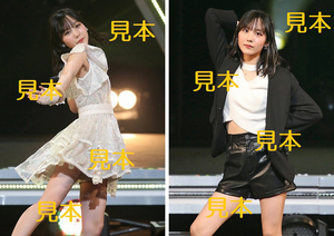 江端妃咲『Juice=Juice 2023秋 10th～Juicetory～』C25枚