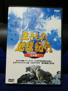[DVD] сырой кимоно земля путешествие Северная Америка сборник 