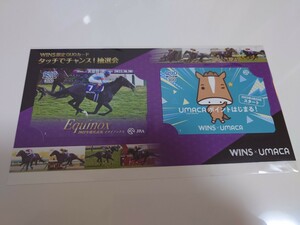 JRA　タッチでチャンス！抽選会WINS限定QUOカード　イクイノックス