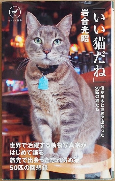 ★送料無料★ 『「いい猫だね」』 岩合光昭さんが旅先で出会った忘れられない猫50匹　フォト&エッセイ 岩合光昭 動物写真家 回想録