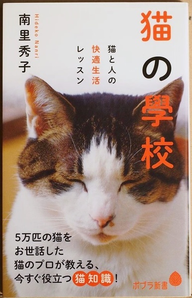 ★送料無料★ 『猫の學校』 猫と人の快適生活レッスン 空前の猫ブーム到来 猫の学校 キャットシッター 南里秀子 最高の猫とのつきあい方